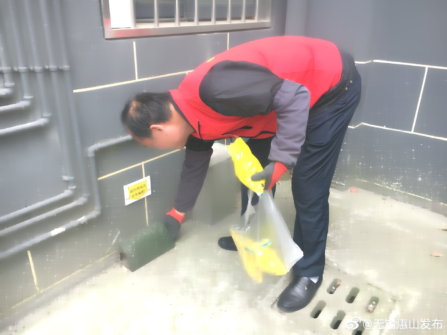 深圳殺蟲滅鼠公司教您如何除四害 (717).jpg
